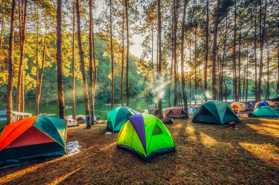 Guide Complet pour Acheter un Terrain de Camping : Astuces et Conseils Pratiques
